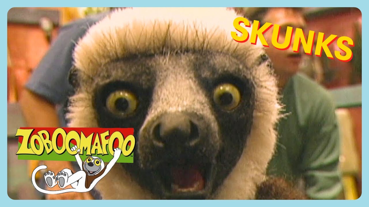 Zoboomafoo - Stinky! 🤢| HD Full Epsiodes | Great For Kids | WildBrain Zigzag