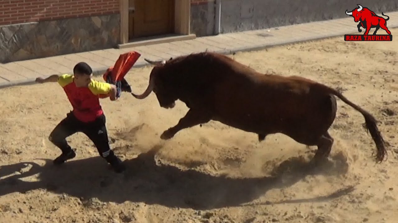 V Toro del Voto. Villoria. 27 Abril 2019