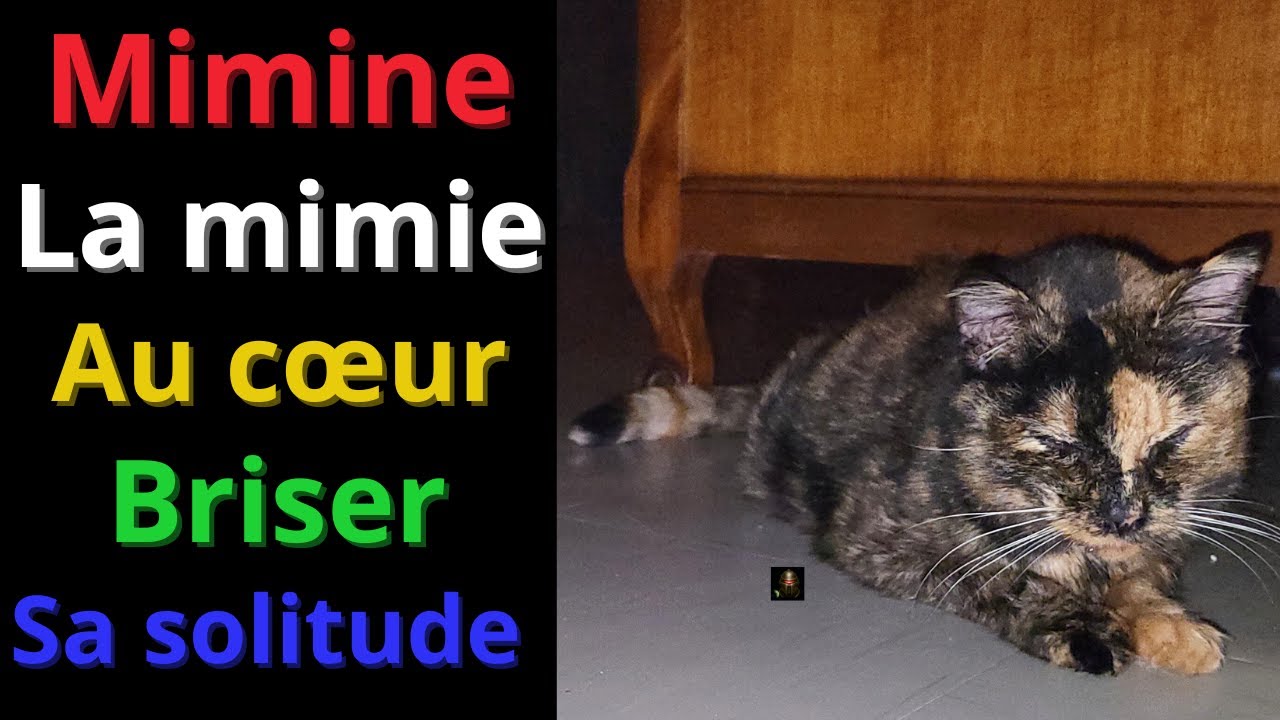 La Mimine solitaire !