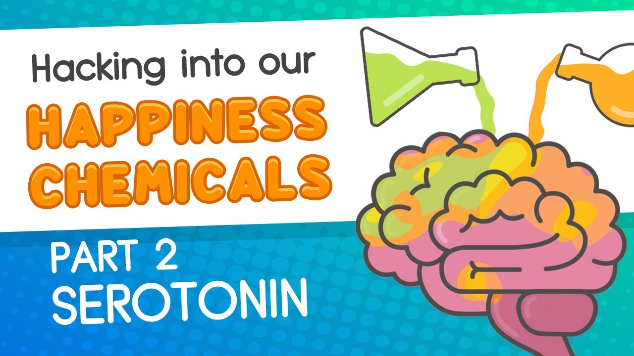Hacking into our Happiness Chemicals // Part 2_Serotonin