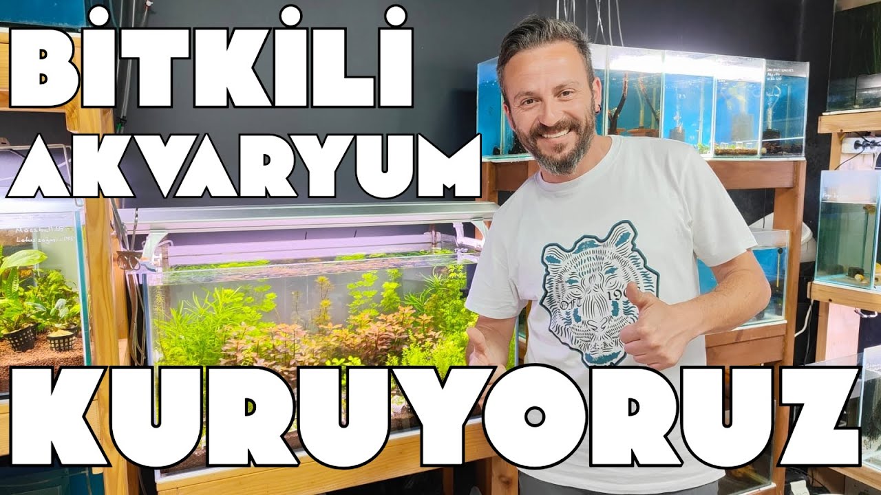 AKVARYUMU YENİDEN CANLANDIRIYORUZ