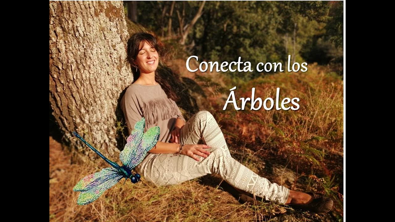 Ejercicio de respiración con los ÁRBOLES