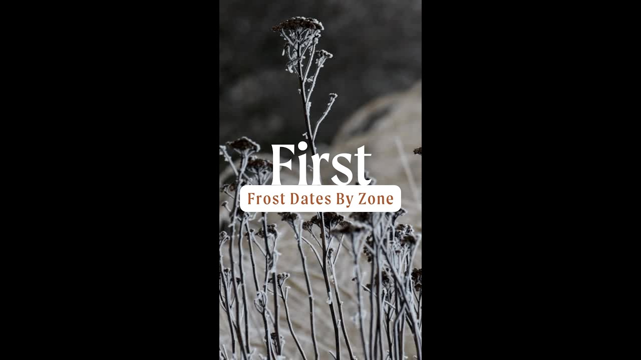 Know Your First Frost Dates! 🥶