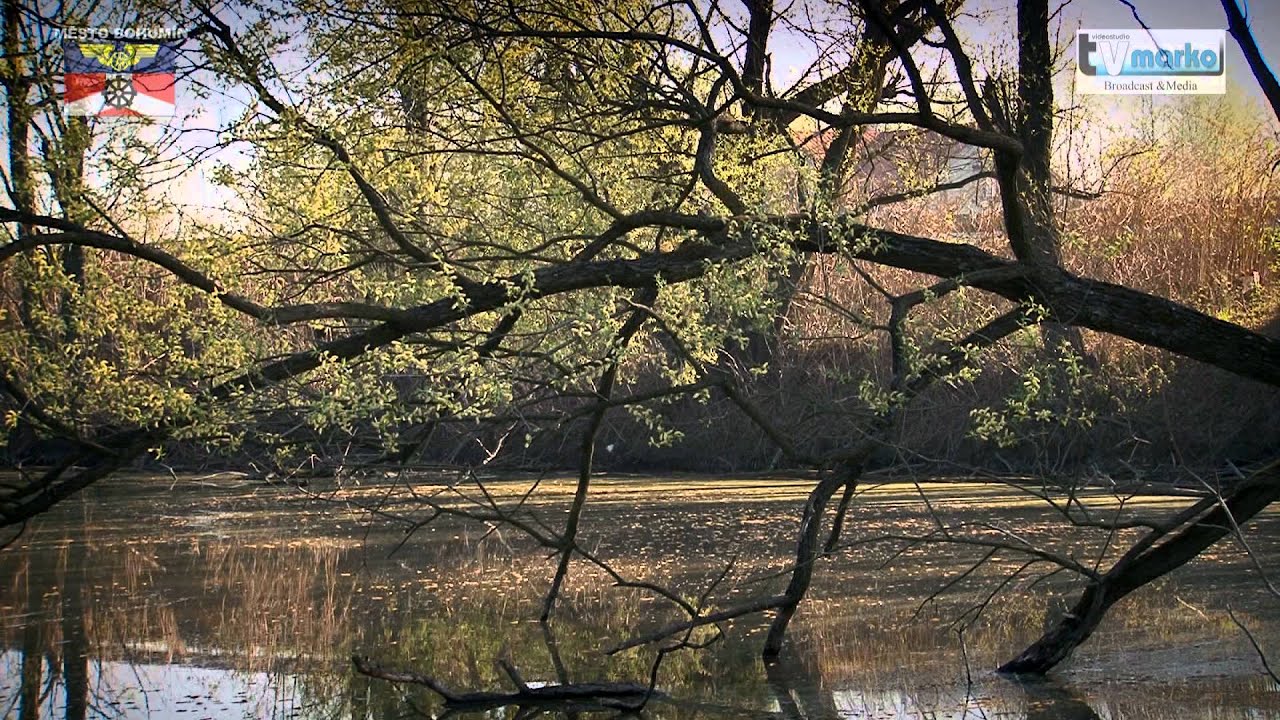 Hraniční meandry Odry