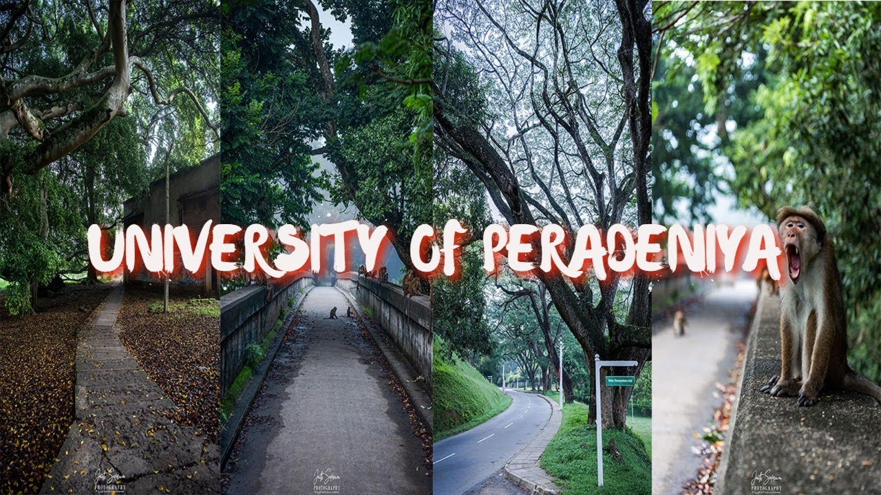 A Bike ride through the most beautiful University in Sri Lanka | University of Peradeniya