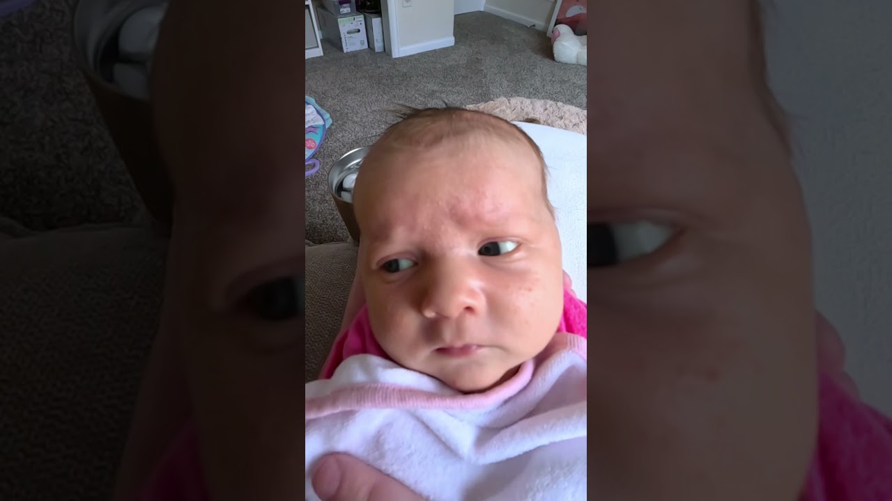 Video two of Dad Reads 