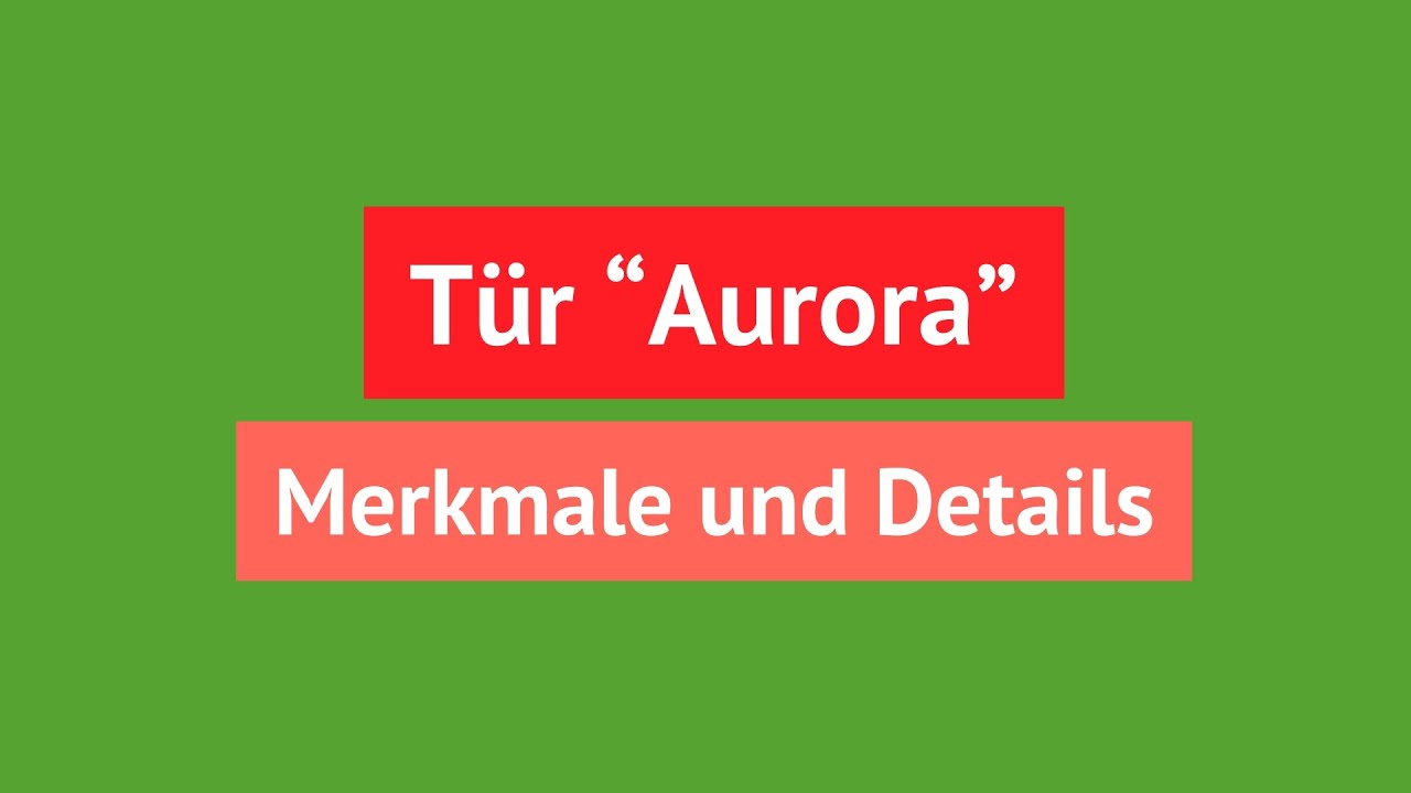 Aluminium Haustür mit Fingerprint 