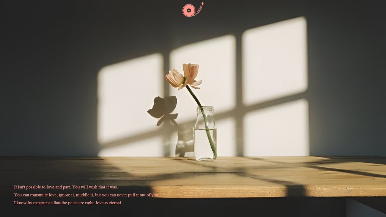 Slow Brunch Afternoon Mix | 포근한 공기 속에 머무르는 낮 — Warm Café Playlist 🎧