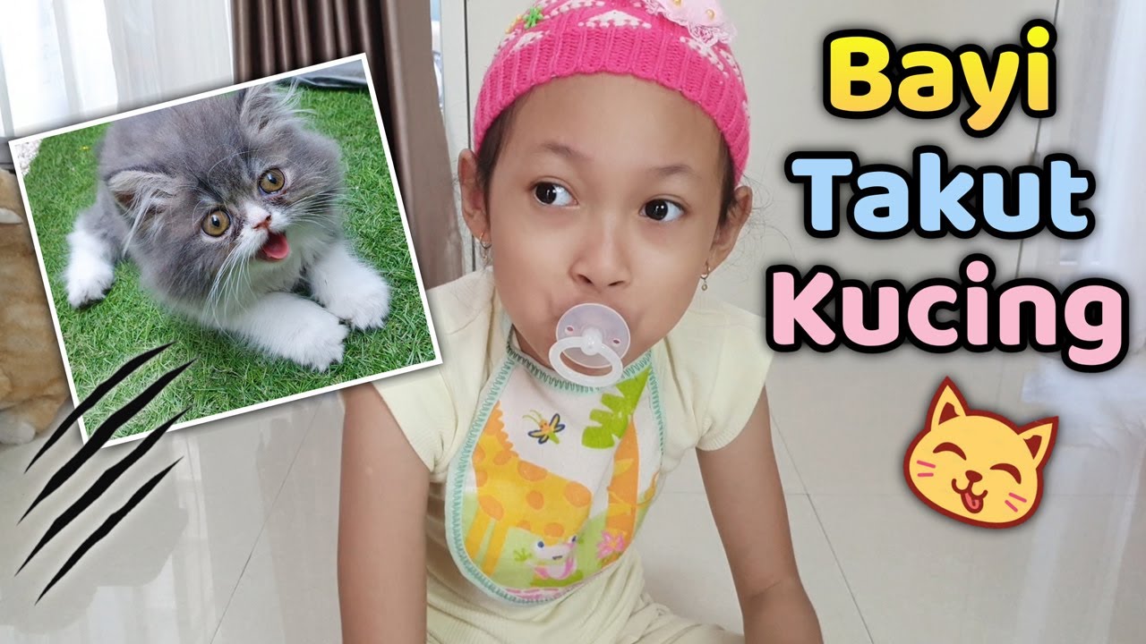 Bayinya Takut Sama Anak Kucing Aqilla 😄 Parodi Aqilla's Diary