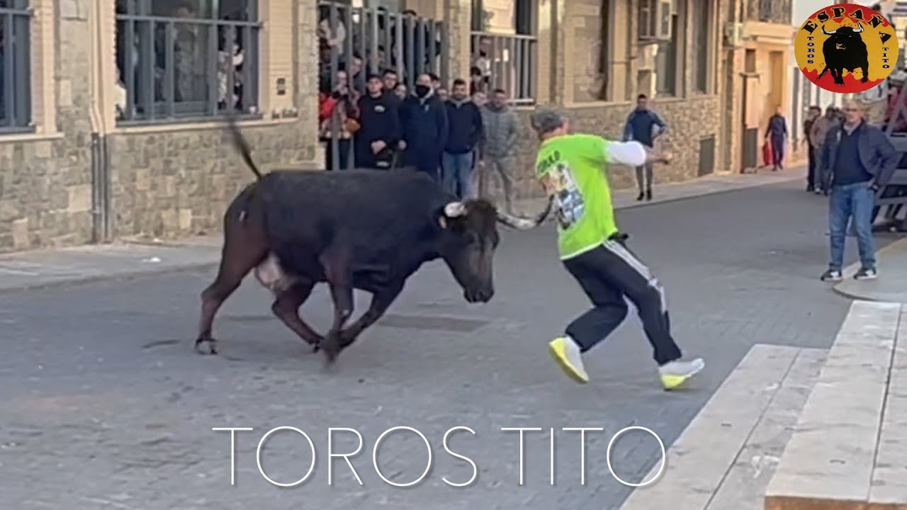 Monserrat Sant Antoni 2026, Daniel Sanchez