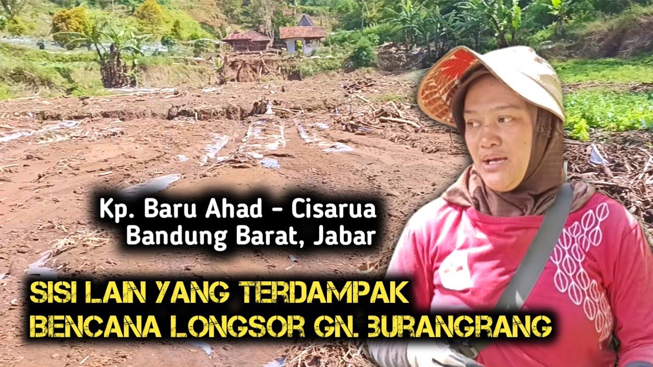 GAK NYANGKA ‼️ Ternyata Kampung Ini Pun Terdampak Longsor Gn. Burangrang. Kerusakannya Parah Sekali