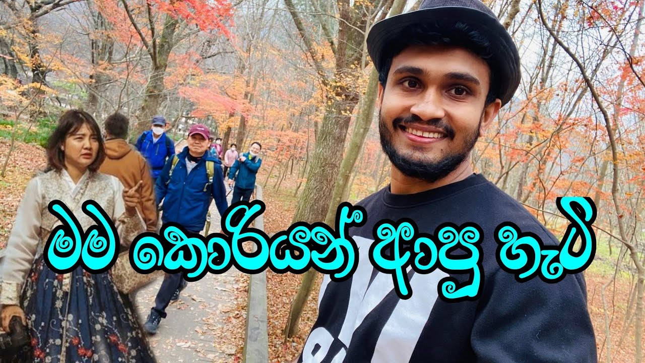 කොරියන් සිහිනය මම ලගා කරගත්තේ මේහේමයි /  Korea job visa for sri lankans 🇰🇷🛠️🇰🇷