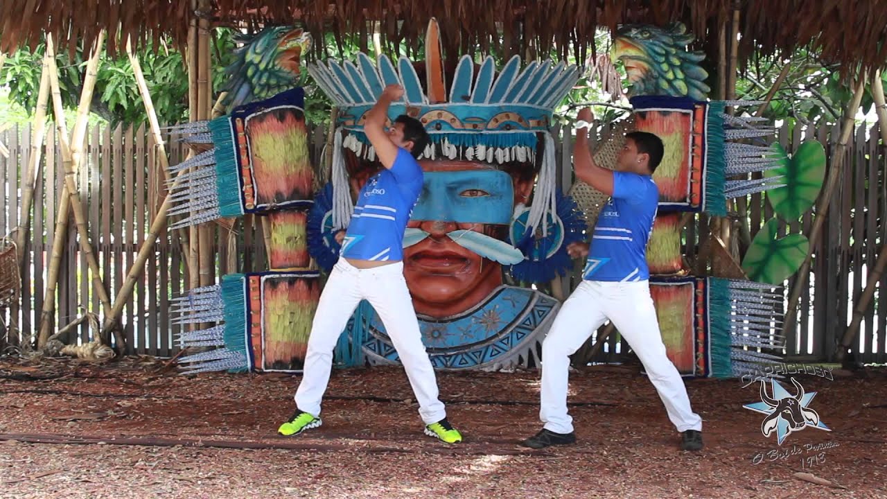 TV CAPRICHOSO - COREOGRAFIA 2014: MARACÁS DO RIO NEGRO
