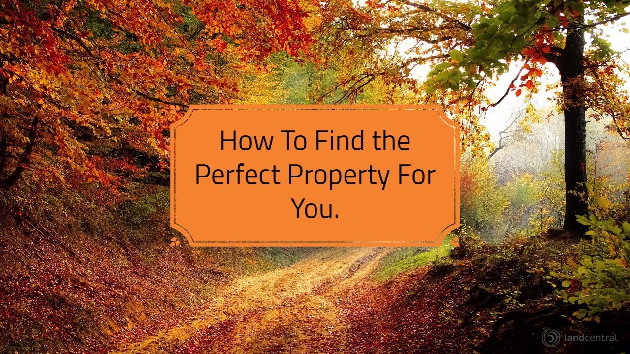 How To Find the Perfect Property For You