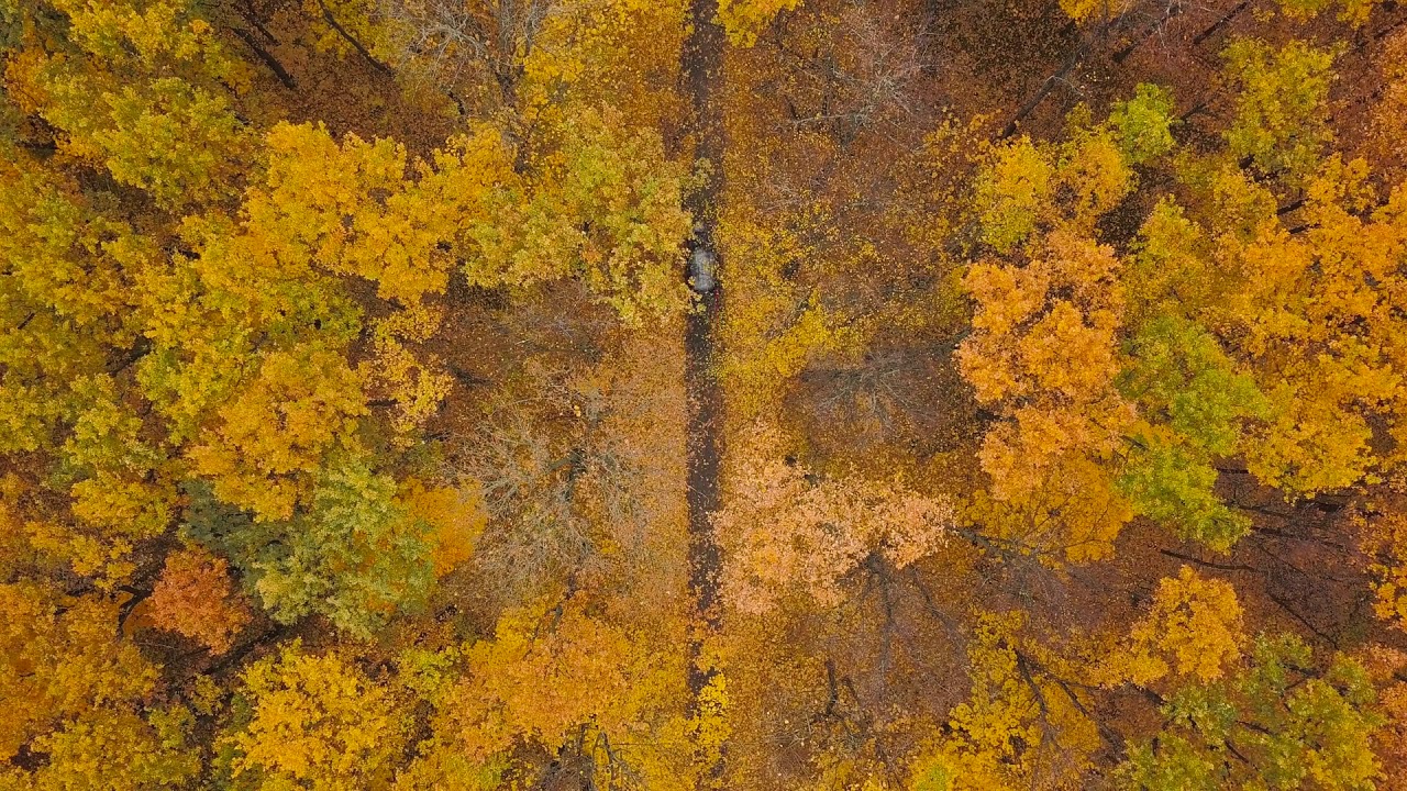 aerial view on car driving through autumn forest road scenic autumn