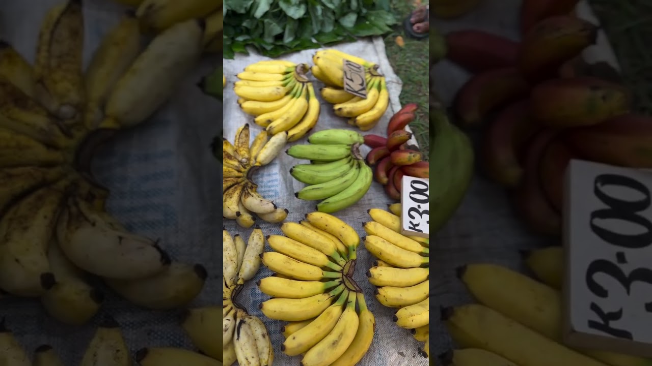 Biku Gabuna Market Central Province Papua New Guinea #food #veggies #localproduce #greens #coconuts