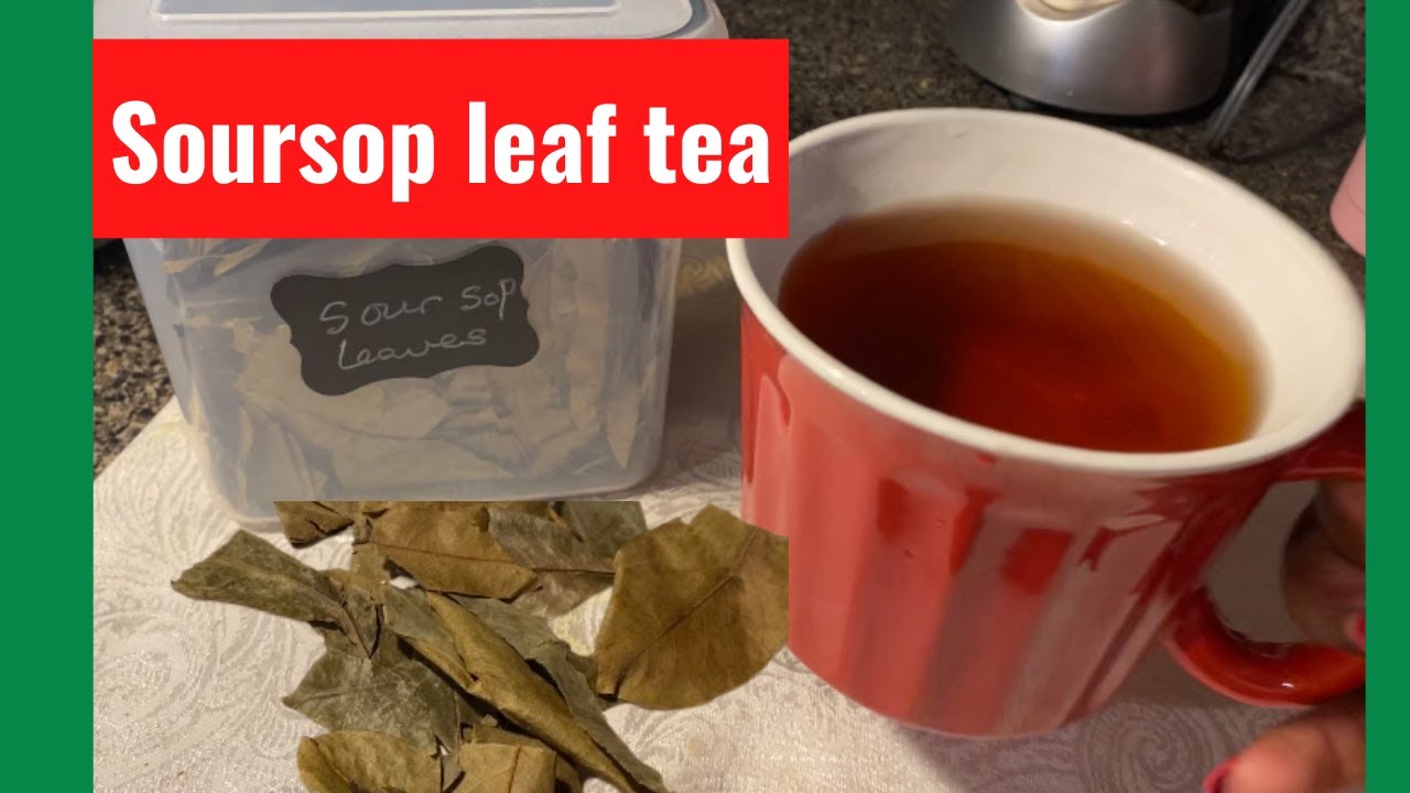 How to make Soursop leaf tea | Dried Soursop leaves