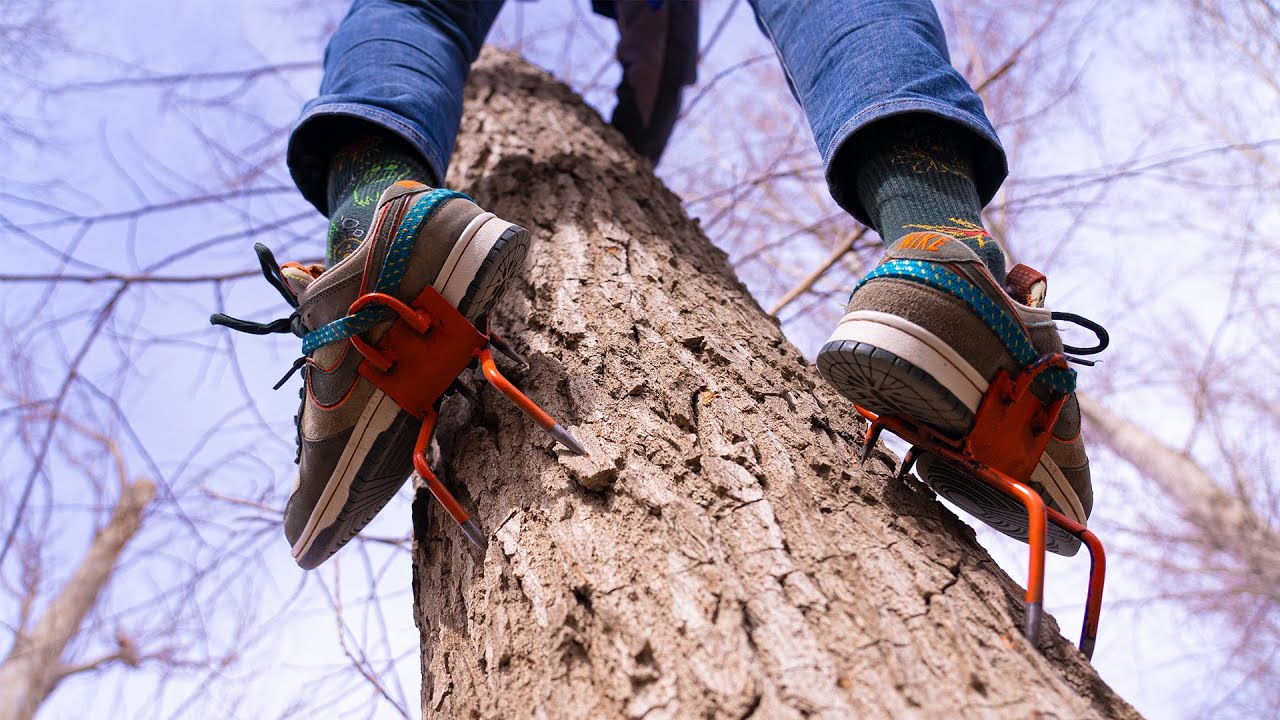 This Tool Makes Tree Climbing Effortless!