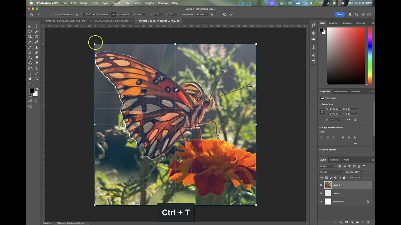 Mosaic Grid in Photoshop