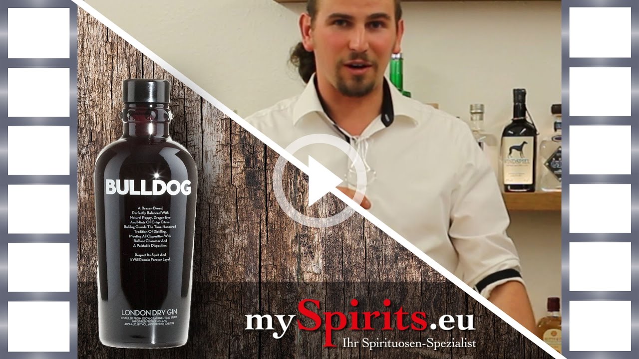 Bulldog London Dry Gin Verkostung – Geschmacksprobe exklusiv bei mySpirits