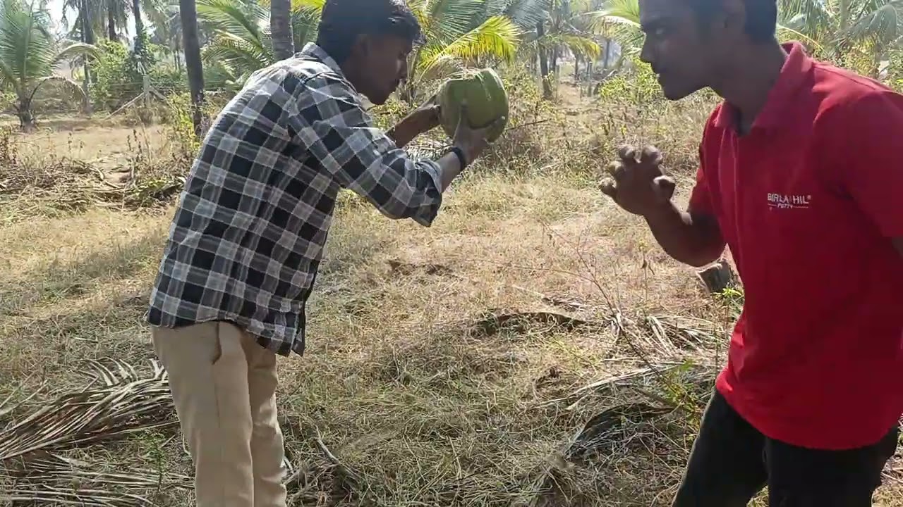 My friends are drinking coconut and so am I.