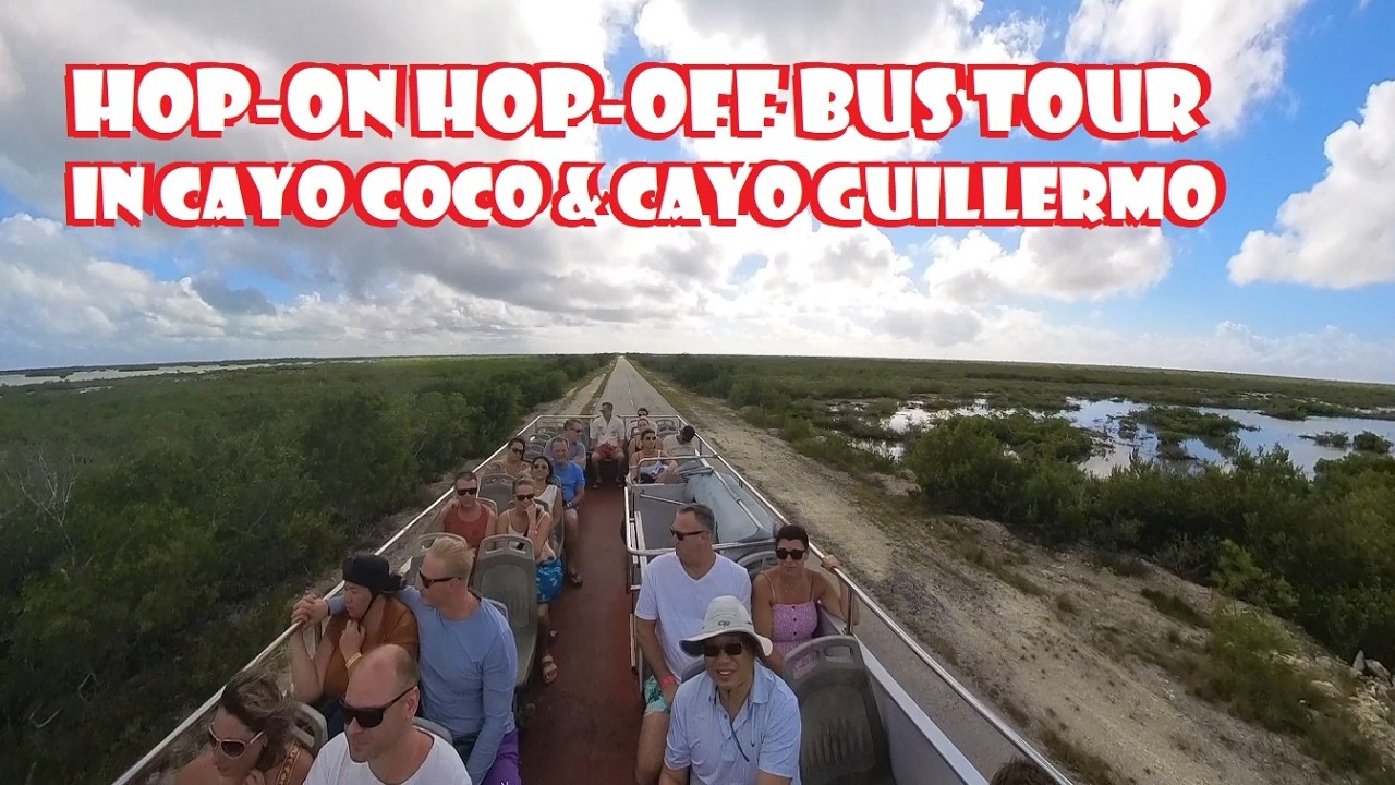 Cayo Coco Sightseeing Bus Tour: Beaches, Breeze & Caribbean Views