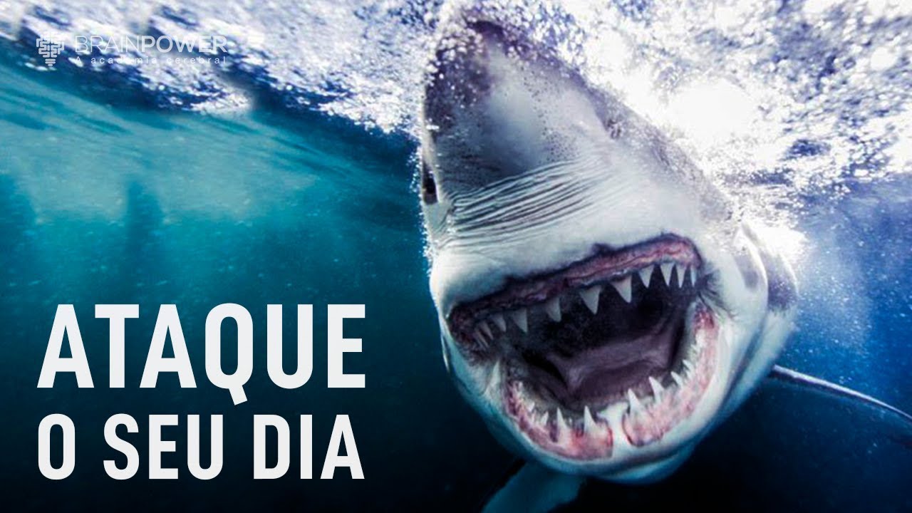 Quer Crescer? Ataque o Seu Dia! | Academia Cerebral por André Buric