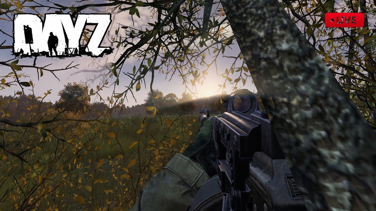 Chernarus Adventures | DayZ in 1440p