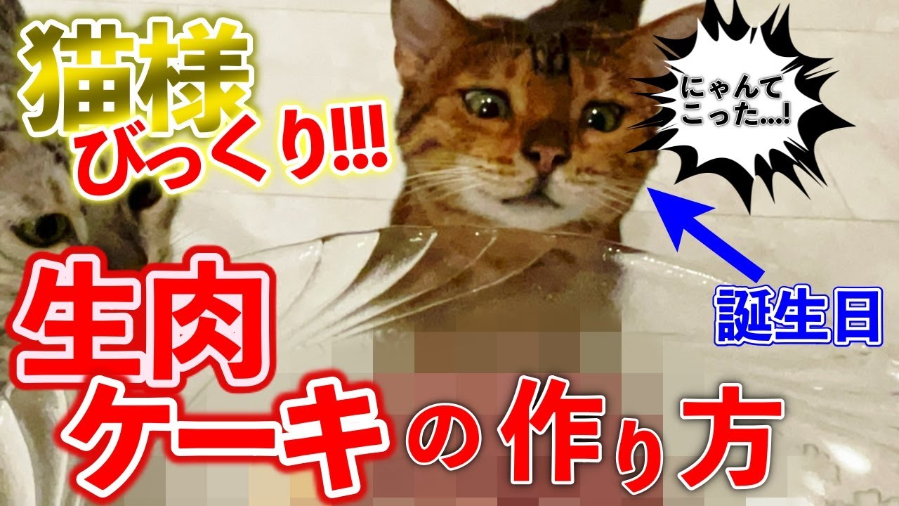 【猫の誕生日祝い】生肉ケーキ＆バースデープレートの作り方【ヴェル7歳】