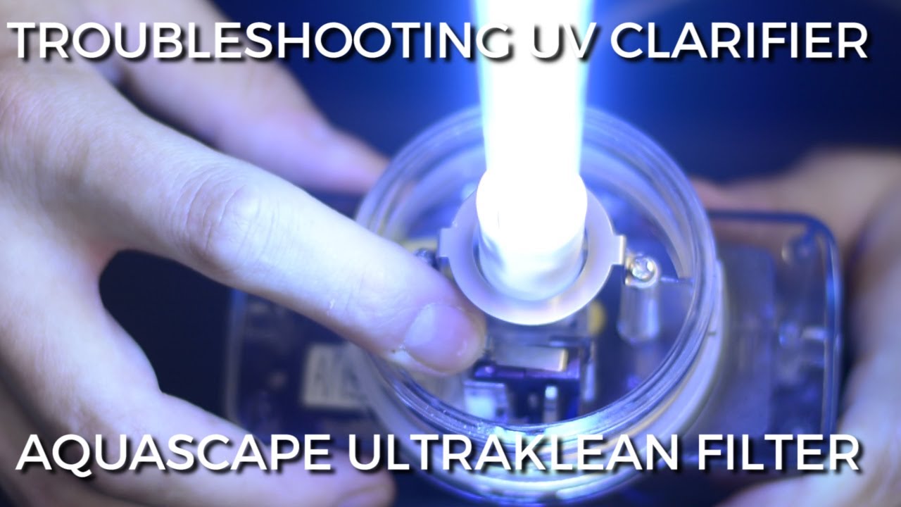 How to troubleshoot the UV Clarifier in an Aquascape UltraKlean Filter