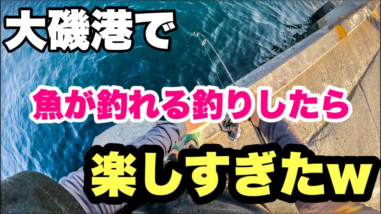 【一投目から釣れる】ボウズ逃れ間違いなし！大磯港は魚が釣れる良い釣り場なんです！