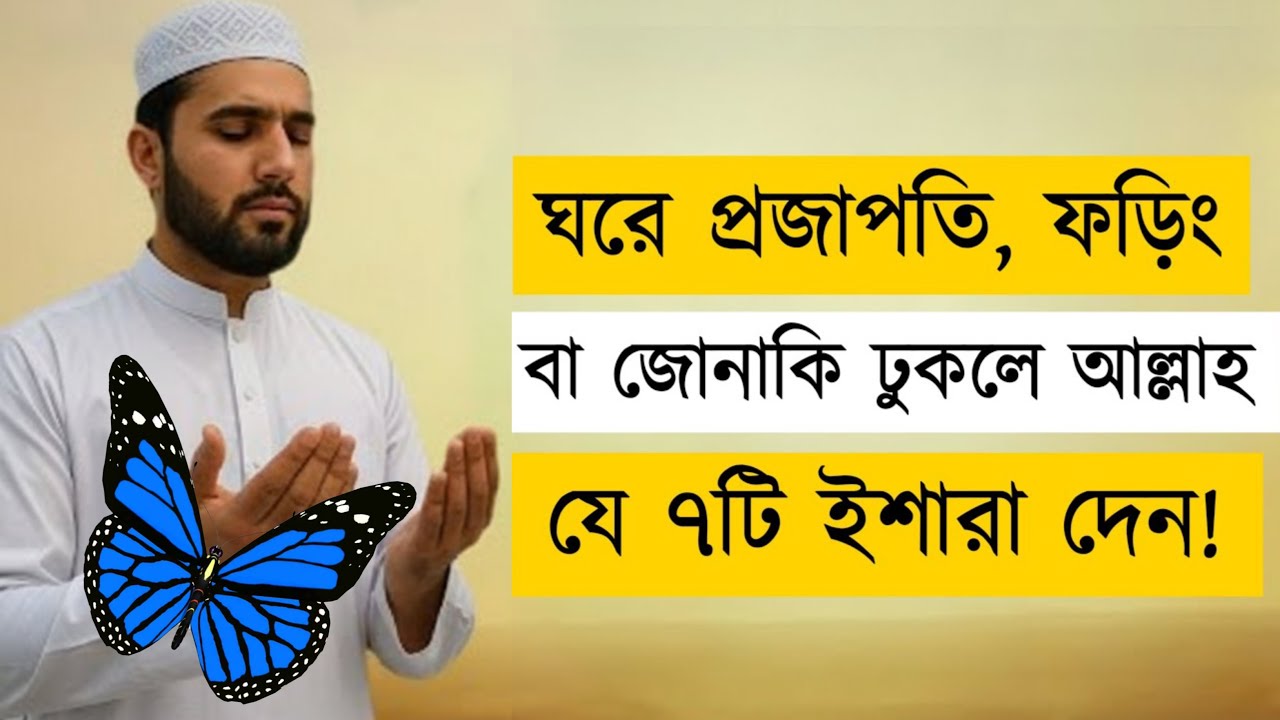ঘরে প্রজাপতি/ফড়িং/জোনাকি ঢুকলে আল্লাহর ৭টি ইশারা | Islamic Signs Explained | ইসলামের দিগন্ত