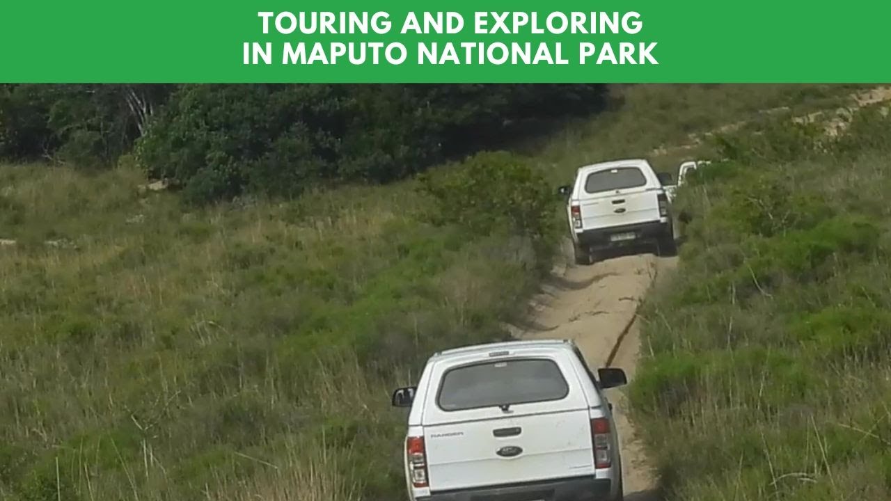 Touring and Exploring in Maputo National Park