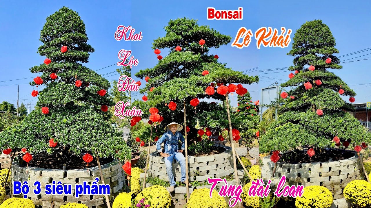 Siêu Tùng Đài Loan F1 