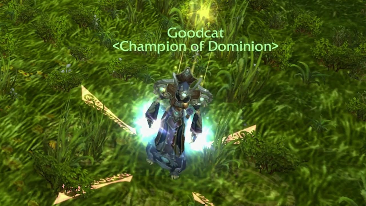 The Archive | Goodcat 2vX