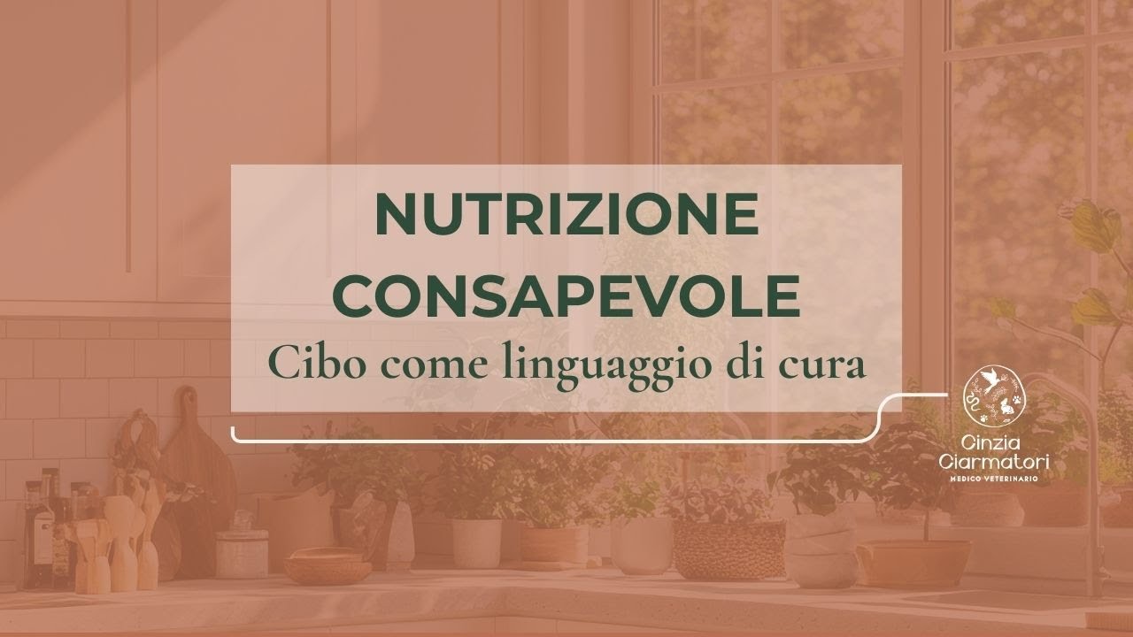 Nutrizione consapevole. Il cibo come linguaggio di cura.