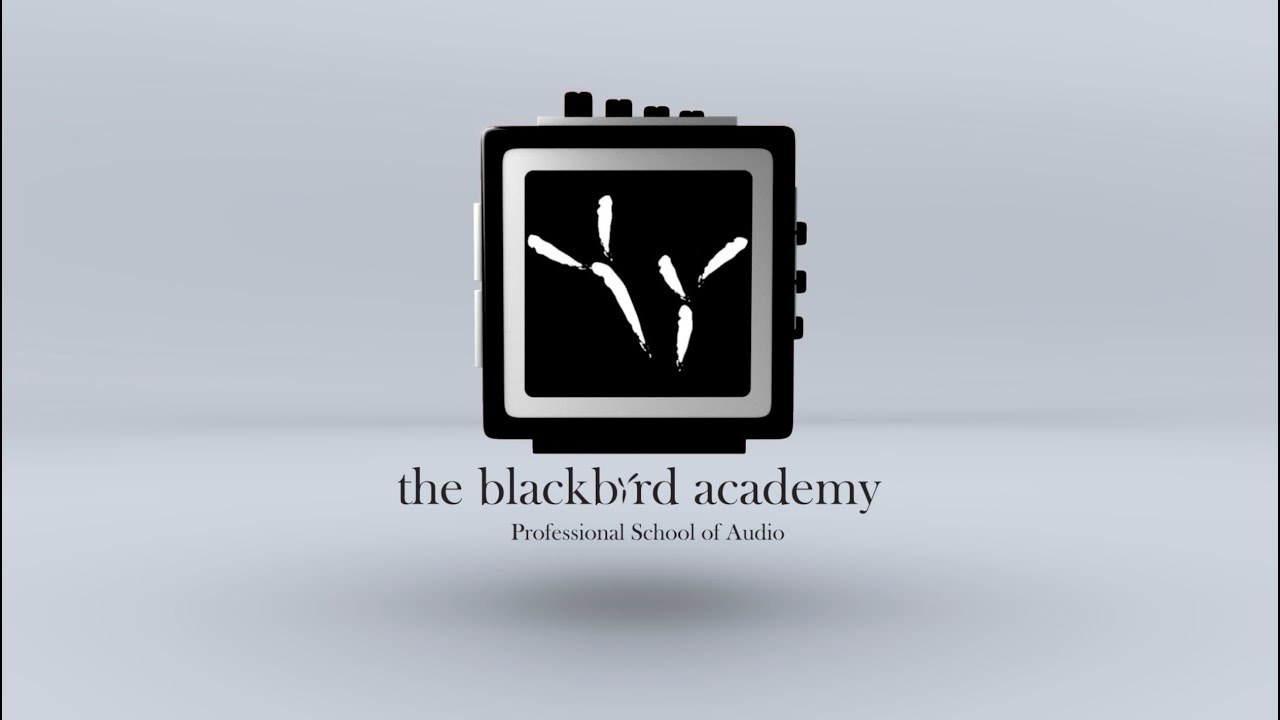 Welcome to The Blackbird Academy