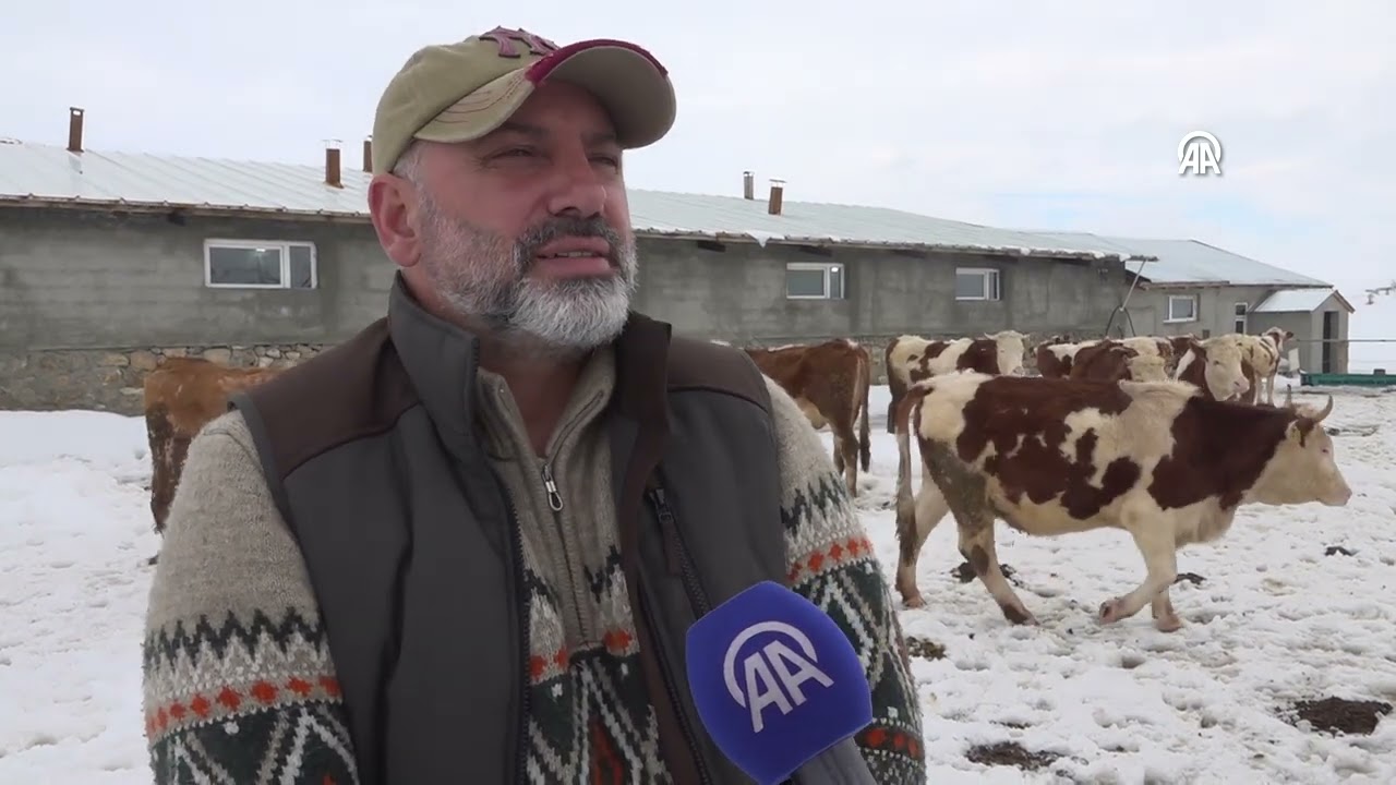 ISTANBULU BIRAKIP KOYUNE DONEN MUHENDIS HAYVANCILIKTA ORNEK OL