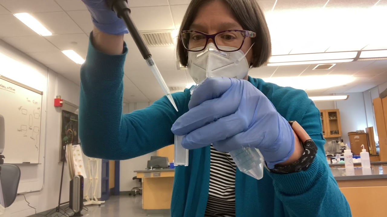 Dr L lactase lab reactions how to