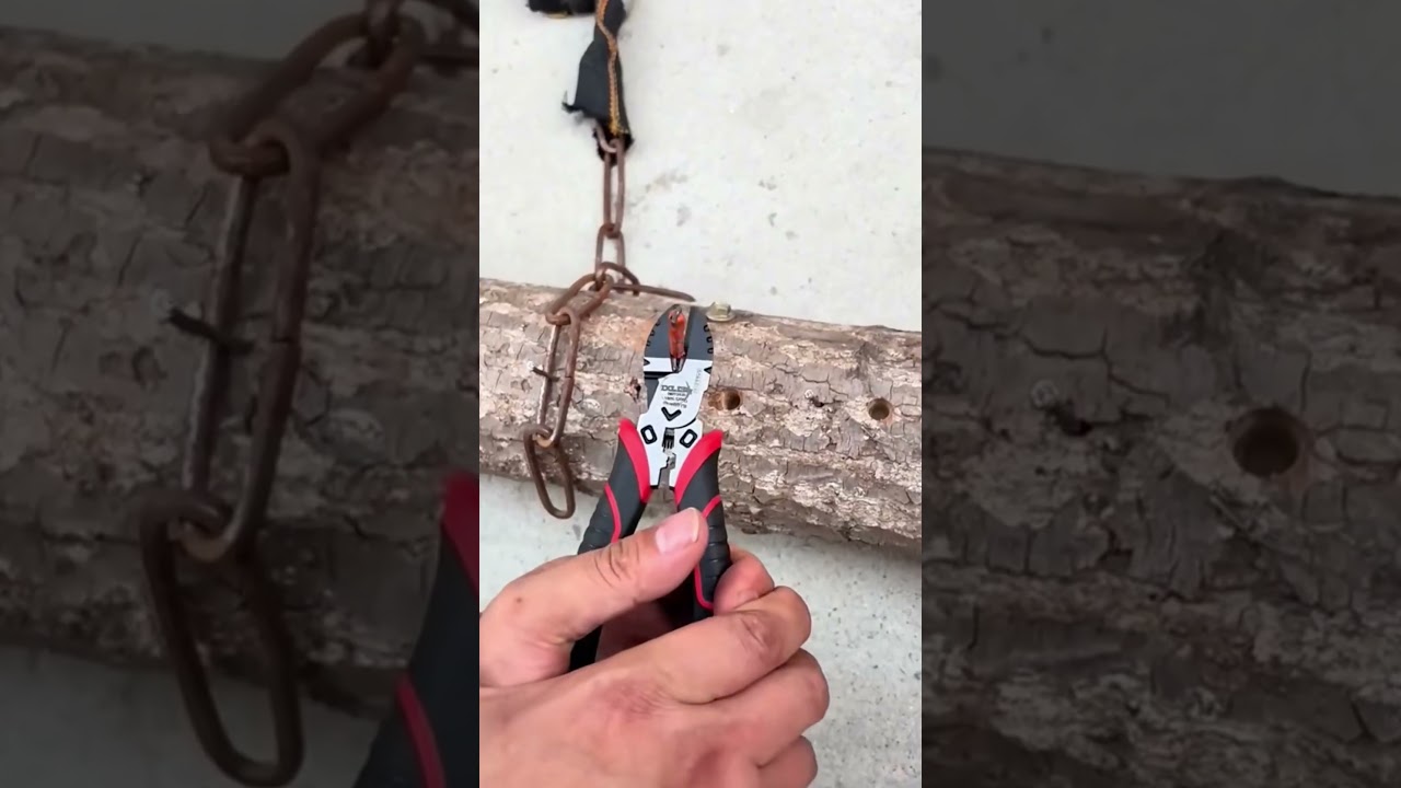smart tool that can cut nails in wood #shorts