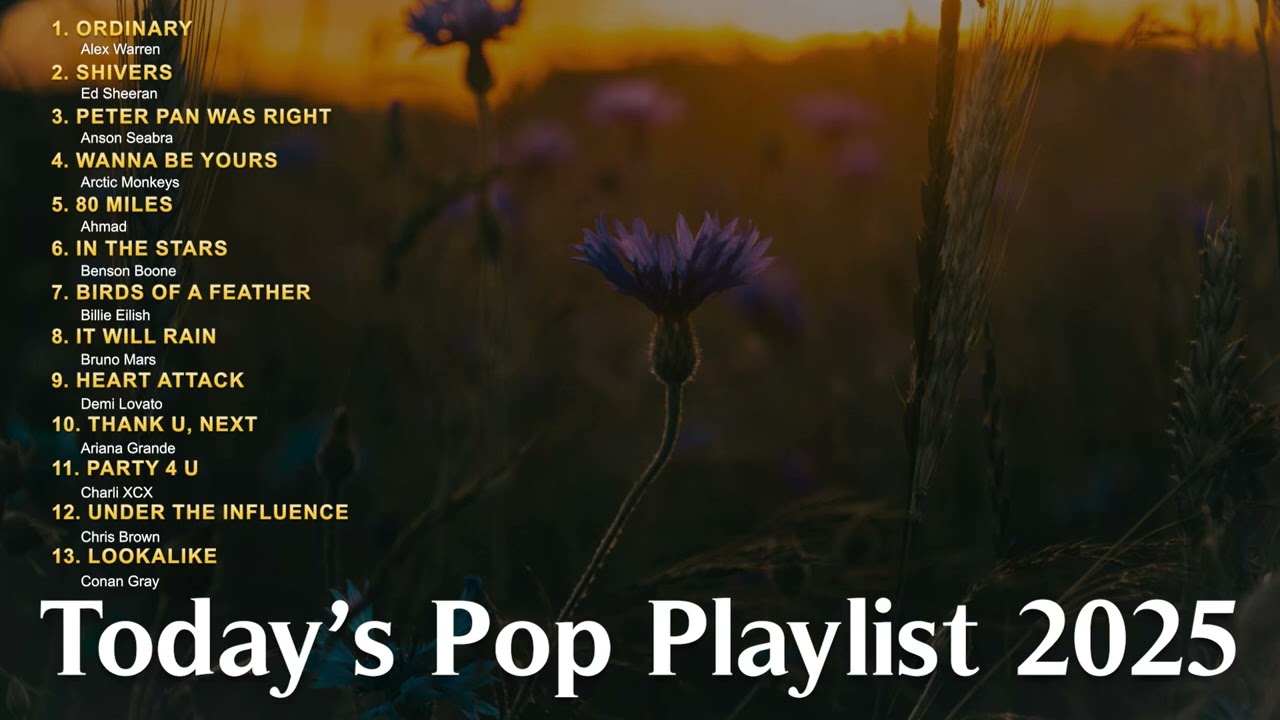 TikTok Chart Hits 2025 - Playlist Collection