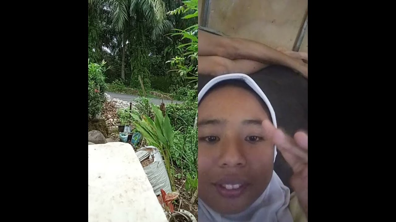 Nopriati cicit cuit sedang live sekarang!