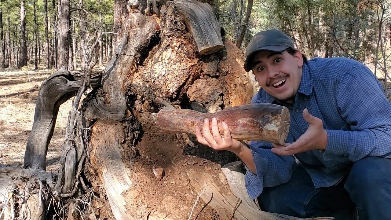 Fatwood Gold Mine Behind my New Property