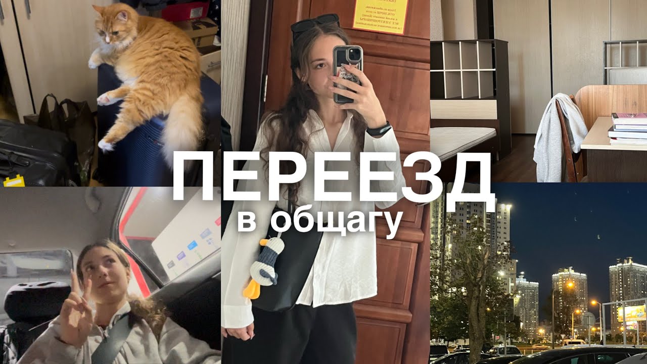 переезд в общежитие 