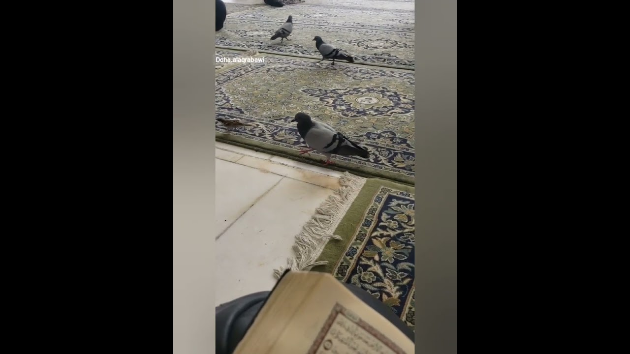 صيام الصالحين-٤- ٣٠ وقفة مع السلف الصالح في الشهر الفضيل - وقفات لتحفيز النفس نحو اغتنام شهر رمضان🌙⭐