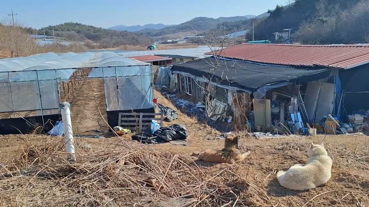 칠십을 넘어서니