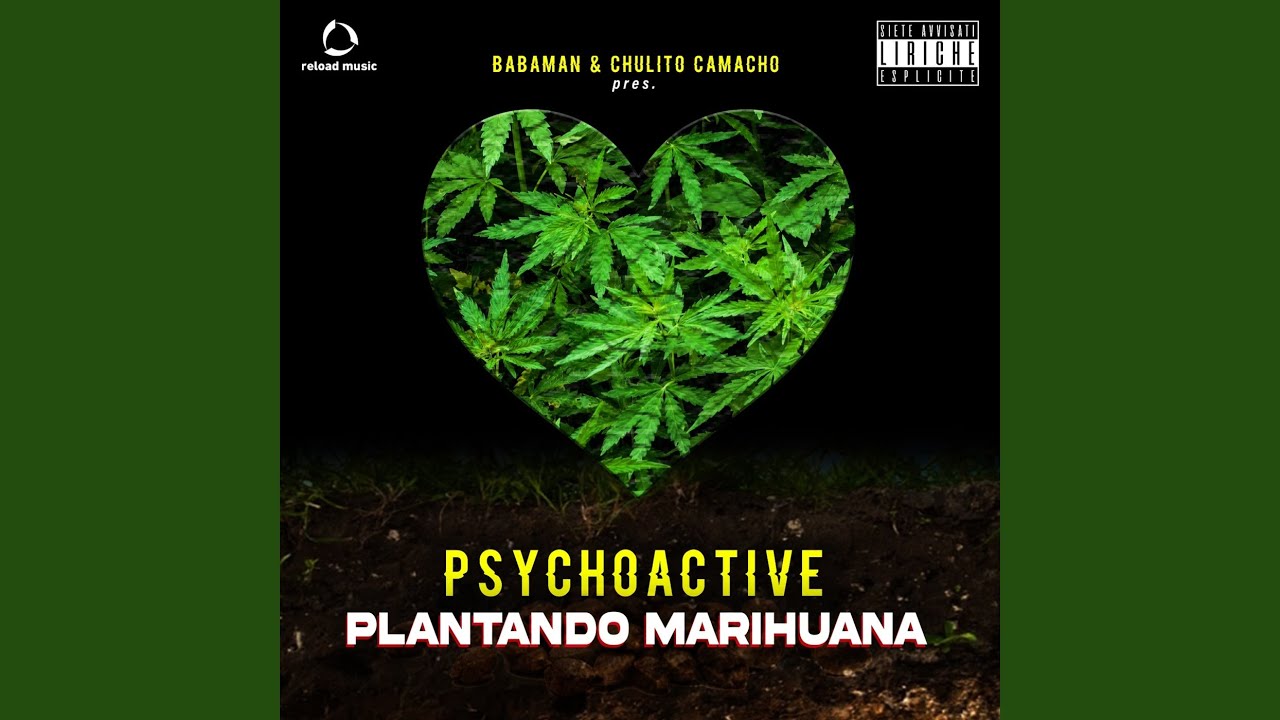 PLANTANDO MARIHUANA