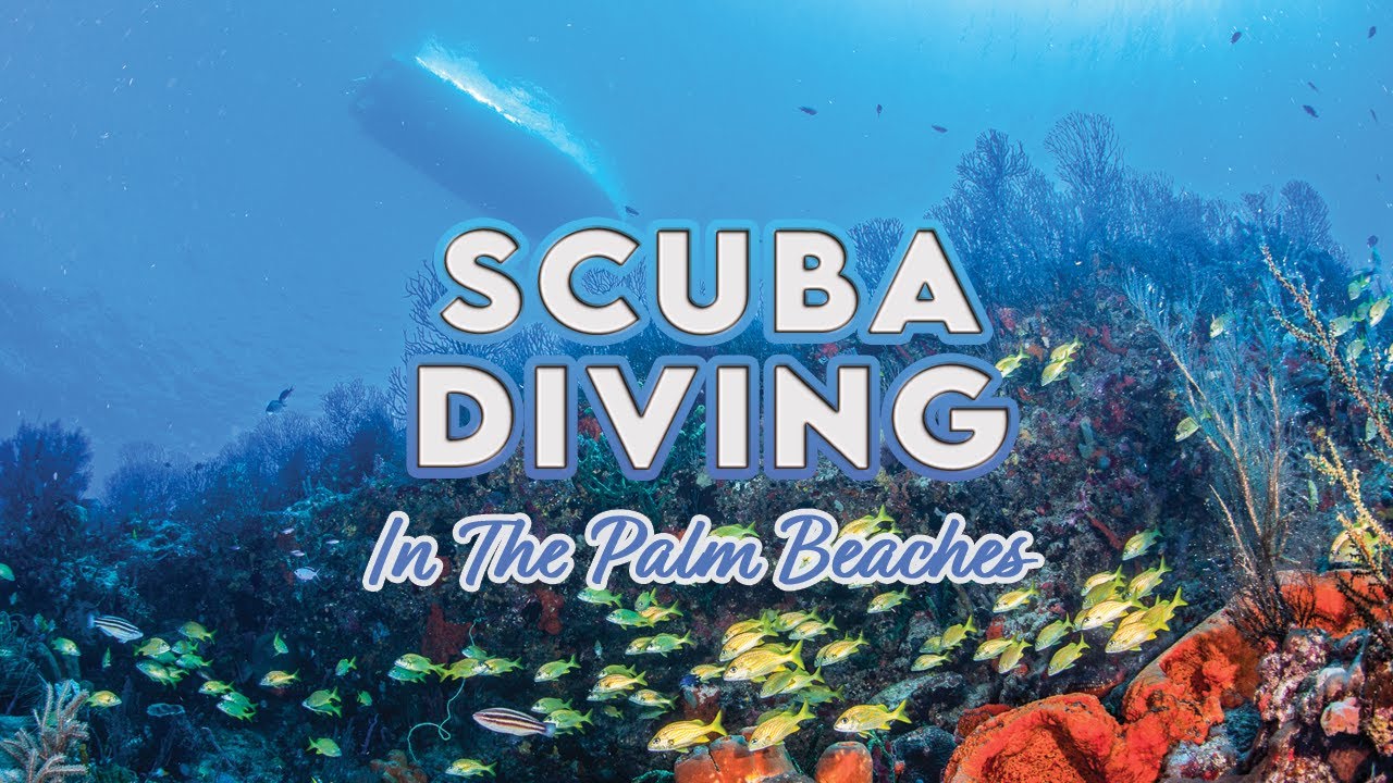 Scuba Diving in The Palm Beaches PBTV Watch Party