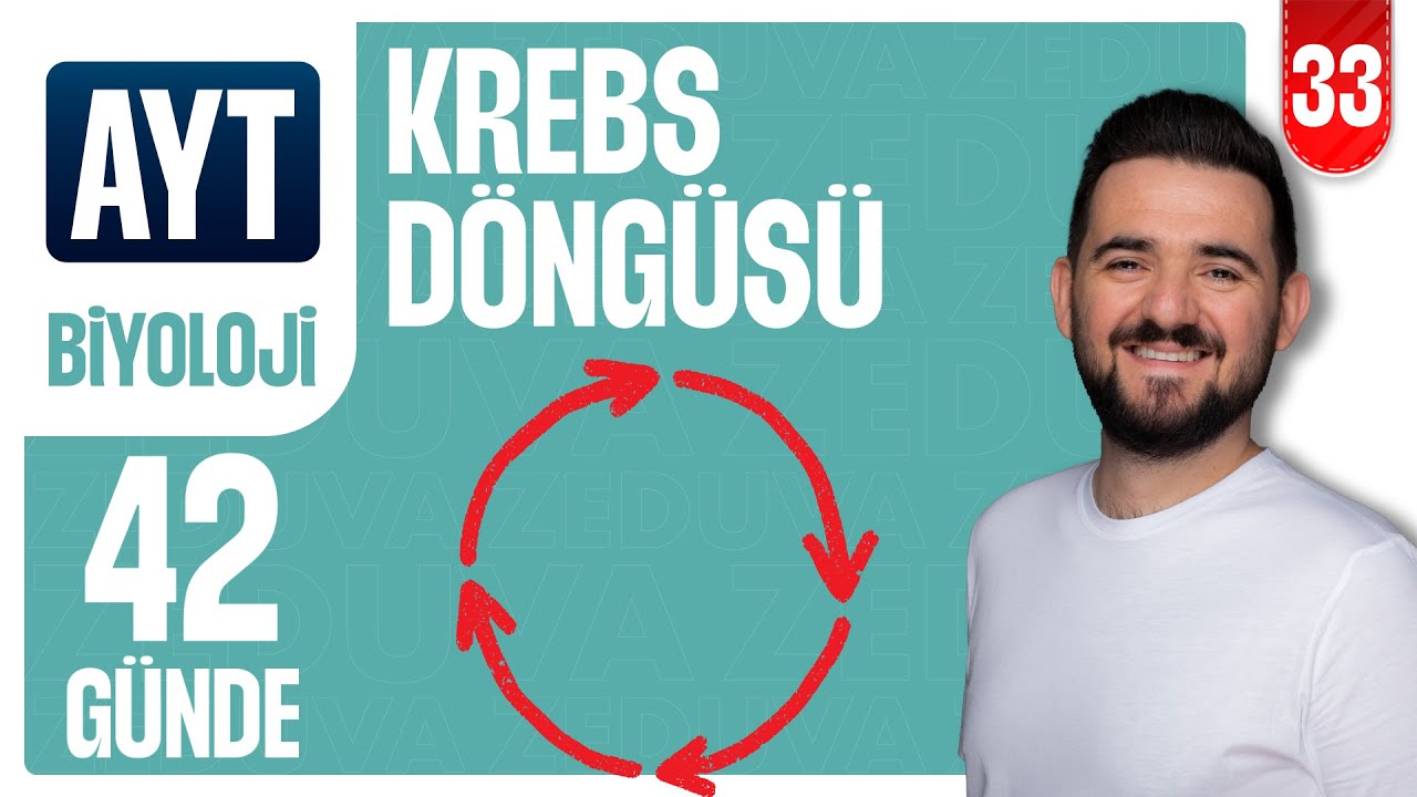 Krebs Döngüsü (Sitrik Asit Döngüsü) | 42 GÜNDE AYRINTILI AYT BİYOLOJİ KAMPI 2026-2027 | 33.GÜN