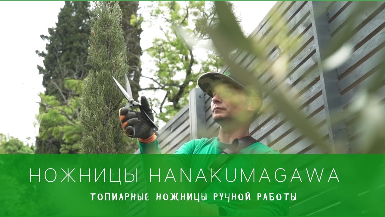 Топиарные ножницы ручной работы Hanakumagawa